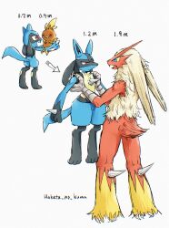 blaziken from pokemon