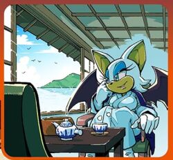 rouge the bat from sonic (series)
