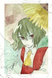 kazami yuuka from touhou