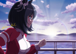 eishin flash (umamusume) from umamusume