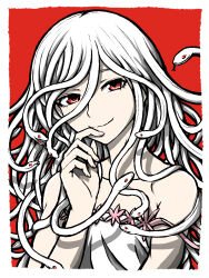 sengoku nadeko from monogatari (series)
