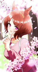 sakura laurel (umamusume) from umamusume