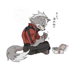 wolf o'donnell from star fox