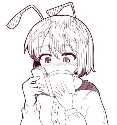 wriggle nightbug from touhou by kide koushin
