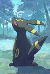 umbreon from pokemon