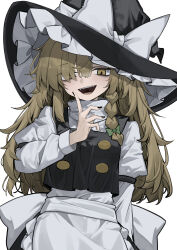 kirisame marisa from touhou by hisha (kan moko)