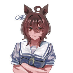 agnes tachyon (umamusume) from umamusume