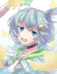 seiun sky (reeling in the big one) (umamusume) from umamusume