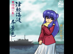 shampoo (ranma 1/2) from ranma 1/2 by wanta (futoshi)