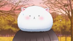 tippy (gochiusa) from gochuumon wa usagi desu ka?