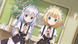 kafuu chino from gochuumon wa usagi desu ka?