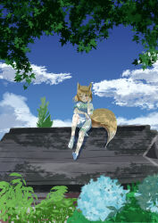 kudamaki tsukasa from touhou