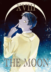 adachi tooru from persona