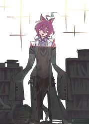 agnes tachyon (tach-nology) (umamusume) from umamusume