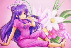 shampoo (ranma 1/2) from ranma 1/2