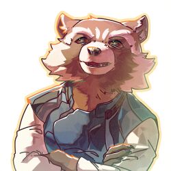 rocket raccoon from guardians of the galaxy
