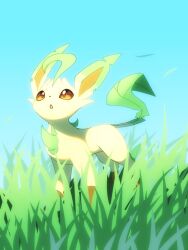 leafeon from pokemon