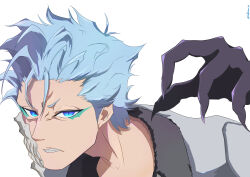 grimmjow jaegerjaquez from bleach