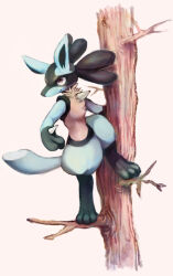 lucario from pokemon