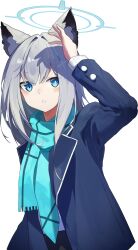 shiroko (blue archive) from blue archive