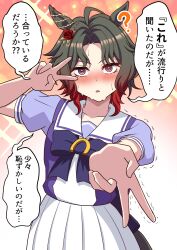 umamusume fan art