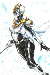 kamen rider femme from kamen rider