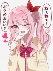 akiyama mizuki from project sekai