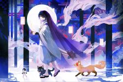 scaramouche (cat) (genshin impact) from genshin impact