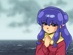 shampoo (ranma 1/2) from ranma 1/2 by wanta (futoshi)