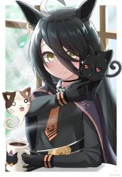 manhattan cafe (umamusume) from umamusume