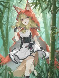 arknights fan art