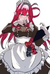 baobhan sith (fate) from fate/grand order