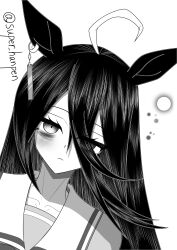 manhattan cafe (umamusume) from umamusume
