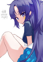yuuka (blue archive) from blue archive