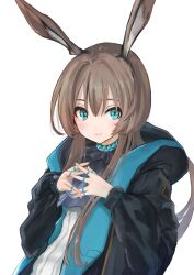 amiya (arknights) from arknights