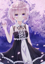 sakura no uta fan art