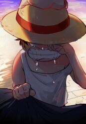monkey d. luffy from one piece
