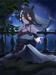 manhattan cafe (umamusume) from umamusume