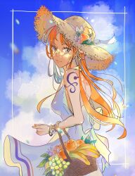nami (one piece) from one piece