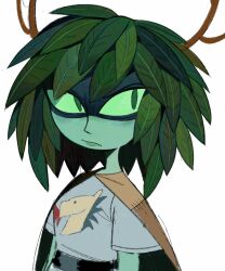 huntress wizard from adventure time