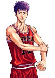 mitsui hisashi from slam dunk (series)