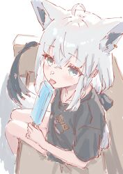shirakami fubuki from hololive