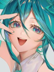 hatsune miku from vocaloid