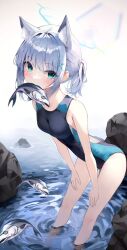 shiroko (blue archive) from blue archive