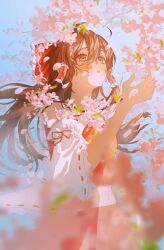 hakurei reimu from touhou by lifejam 403