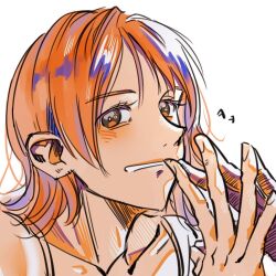 nami (one piece) from one piece