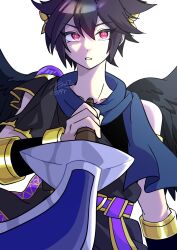 dark pit from kid icarus