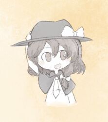 usami renko from touhou