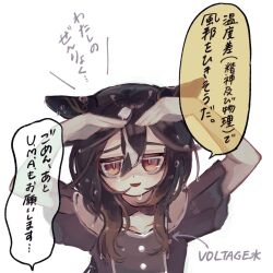 stay gold (umamusume) from umamusume