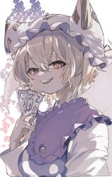 yakumo ran from touhou by hall jion
